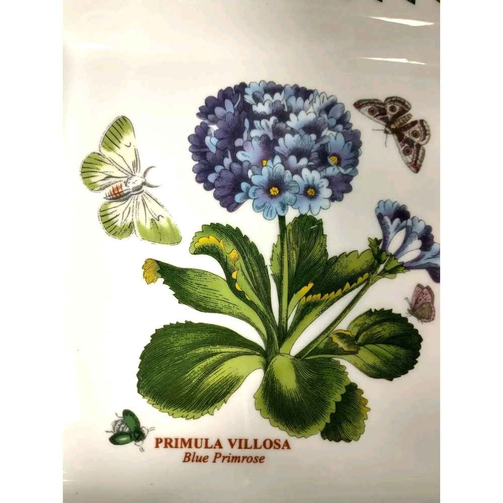 2 Portmeirion Botanic Garden Primrose & Pansy 7" Square Plates Butterflies - Picture 4 of 9